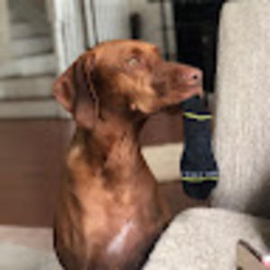 Meet your Posher, Daniel